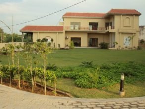 Gallery-1