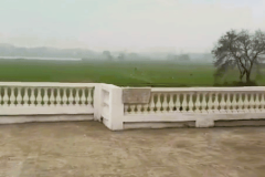 urban-farm-farmhouse-roof-view